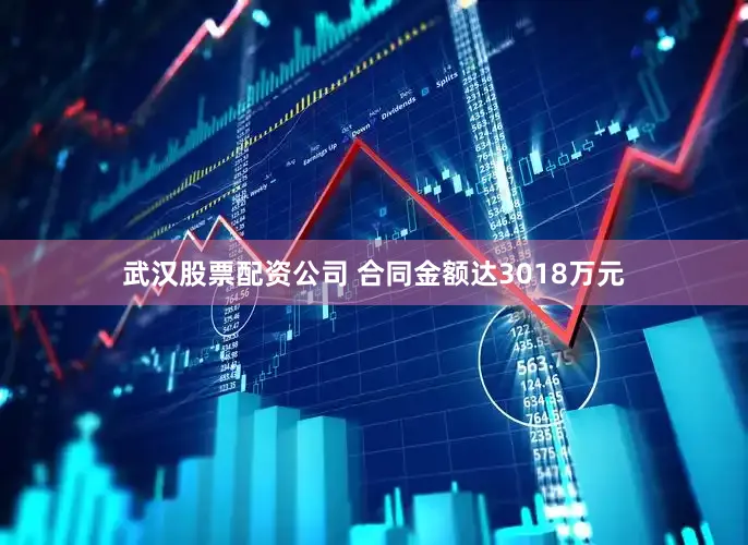 武汉股票配资公司 合同金额达3018万元