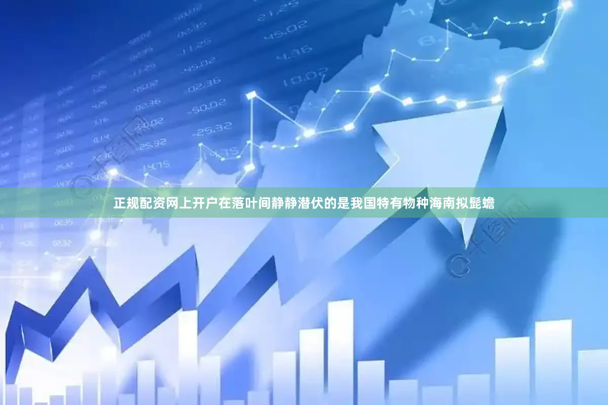 正规配资网上开户在落叶间静静潜伏的是我国特有物种海南拟髭蟾
