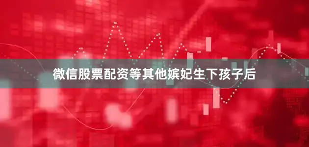 微信股票配资等其他嫔妃生下孩子后