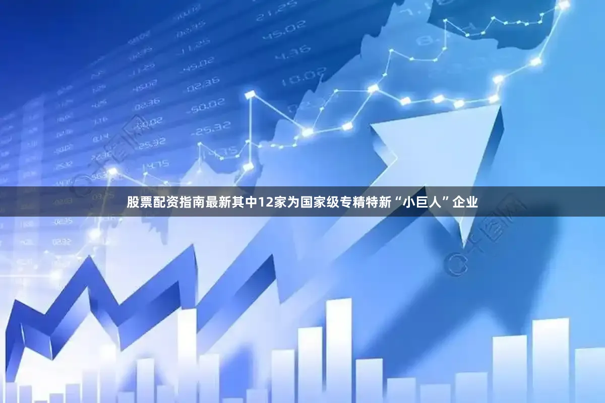 股票配资指南最新其中12家为国家级专精特新“小巨人”企业
