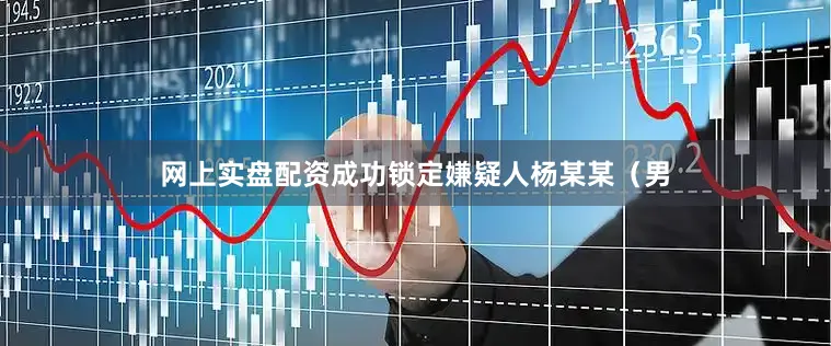 网上实盘配资成功锁定嫌疑人杨某某（男