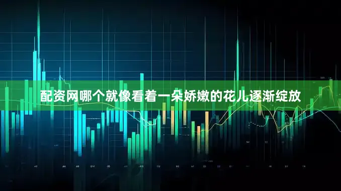 配资网哪个就像看着一朵娇嫩的花儿逐渐绽放