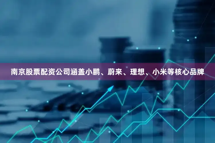 南京股票配资公司涵盖小鹏、蔚来、理想、小米等核心品牌