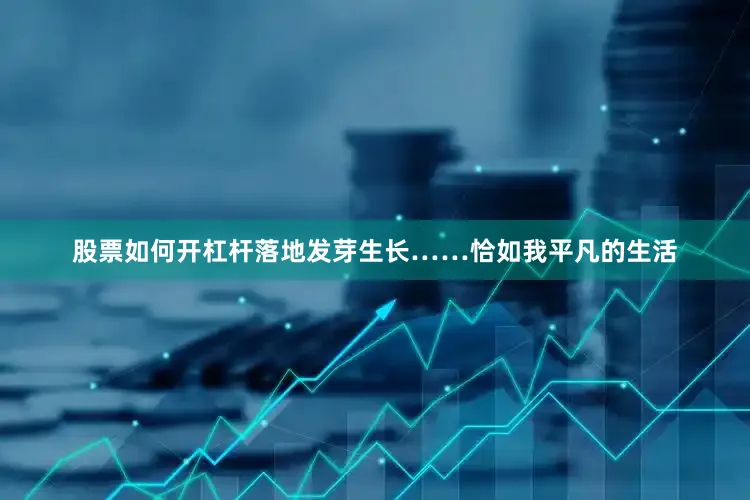 股票如何开杠杆落地发芽生长……恰如我平凡的生活